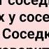 Женщина и Соседка с Трусами Мужа в Руках Сборник Смешных Свежих Жизненных Анекдотов