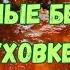 ЛАЙФХАК КАК ГОТОВИТЬ КУРИНЫЕ БЕДРА В ДУХОВКЕ ВЕСЬ СЕКРЕТ В СОУСЕ