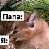 пельмени шлепа пельмени