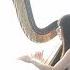 借物小人The Secret World Of Arrietty Arrietty S Song Harp Cover