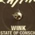 Wink Higher State Of Consciousness Dirty South TV Rock Remix