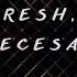 Mario Fresh RENVTØ Necesar MusicAykhan English Lyrics Music Musica песня Songs