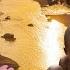 This River In Madagascar Is Full Of GOLD 5000 Kg Gold