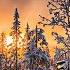 A Beautiful Melody To Tears One Of The Most Beautiful Magical Winter Melodies Snow Was Falling