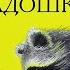 ПОЦЕЛУЙ В ЛАДОШКЕ ЧТОБЫ НИ СЛУЧИЛОСЬ СКАЗКИ НА НОЧЬ