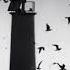 The Cinematic Orchestra Arrival Of The Birds Transformation