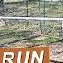 Easiest Chicken Run Ever Unsponsored 2 Year Review Backyard Chickens Predator Protection For Hens