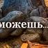 Ты все сможешь Стих Шинкарева Светлана