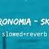 Elektronomia Sky High Slowed Reverb NCS Musics