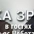 Улей как модель общества Точка зрения с Ильёй Чеботарёвым