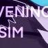 Good Evening Sun Sim Animation Meme FLASHING COLORS WARNING