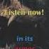 CLICK TO LISTEN Dark Fantasy Audiobook Mortis Maledictum Full Cast Audio Drama