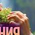 Настоящая медитация Что сделает тебя счастливым