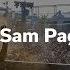 Sam Paganini Sonus Festival 2017 BE AT TV