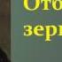 Николай Семёнович Лесков Отборное зерно аудиокнига