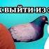 Жертва агрессор и спасатель Кто это такие в отношениях Как выйти из треугольника Карпмана