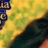 Dilwale Dulhania Le Jayenge Full Movie Shahrukh Khan Kajol Amrish Puri HD Review And Facts