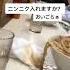 炎上 客に向かって ｺﾞﾗｧ 横暴なラーメン屋の店員が話題に