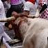 Spain S Pamplona Bull Run Returns In Full Force After 2 Year COVID Hiatus