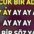 Halil Sezai Olsun KARAOKE