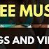 Free Music For Vlogs Dropfire Pure Vibes