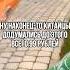 Классные чехольчики на бутылку Wildberries находки маркетплейс