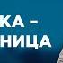 НЕВЕСТКА РАЗЛУЧНИЦА САМЫЕ ПОПУЛЯРНЫЕ ВЫПУСКИ КАСАЕТСЯ КАЖДОГО ЛУЧШИЕ ТВ ШОУ