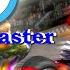 Mario Kart Wii HD Remaster Texture 4K 60FPS Fix Bloom Issue Wii Dolphin 4K UHD PC Play