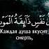 Чтец Абдурахман Масад Сура Аль Анкабут Паук Аяты 56 58