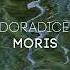 Doradice Moris DP 6 Records