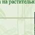 Влияние хозяйственной деятельности человека на растительный мир