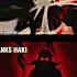 Shanks Rayleigh Haki