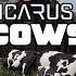 Icarus Week 154 Update NEW Cow TONS Of NEW Recipes Assault Rifle NEXT Week Butter Milk Cheese