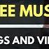 Free Music For Vlogs Peyruis Finesse