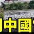 由於貿易緊張局勢影響 中國電動車出口下降13 2 連跌3個月