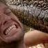 Anaconda Best Moments Creature Features