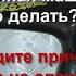 Если у Вас не шьёт швейная машина что делать Найдите причину это не сложно Ч 1 Видео 769