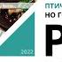 Птичка маленькая но гордая хинкальная Ресторатор 20 от 23 12 2022 РБК Новосибирск