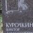 Показываю как пройти к могиле писателя Виктора Курочкина автора книги На войне как на войне