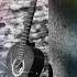 Best Guitar Ringtone New Guitar Ringtone 2021 And Subscribe My Channel