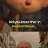 Did You Know That In PARANORMAN