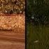 State Of Decay Vs State Of Decay 2 Direct Comparison