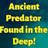 Ancient Predator Found In The Deep