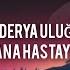 Sana Hastayım Anlasana Lyrics