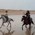 Horses Galloping On The Beach