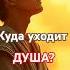 Куда уходит ДУША библия мудрость божья бог