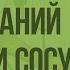 Предупреждение заболеваний сердца и сосудов Видеоурок по биологии 8 класс