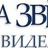 А звезды видели все 6 я часть Тамара Резникова Роман христианский