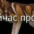 Wcmv 1 секунда может изменить всю твою жизнь