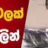 අහ ගම න වසක ස ට වය ව ද ධ ය වලක ත ය ණ ආය ධවල න පහර ද ඝ තනය ක ර Crime Ahangama Sri Lanka